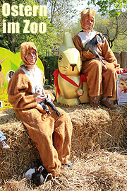 Ostereier suchen im Münchner Tierpark und mehr.. Infos & Video (Foto: MartiN Schmitz)